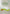 Atomy Fermented Noni Concentrate